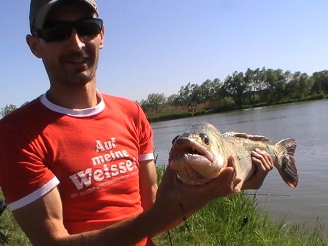 la rapitor - pic0757.JPG